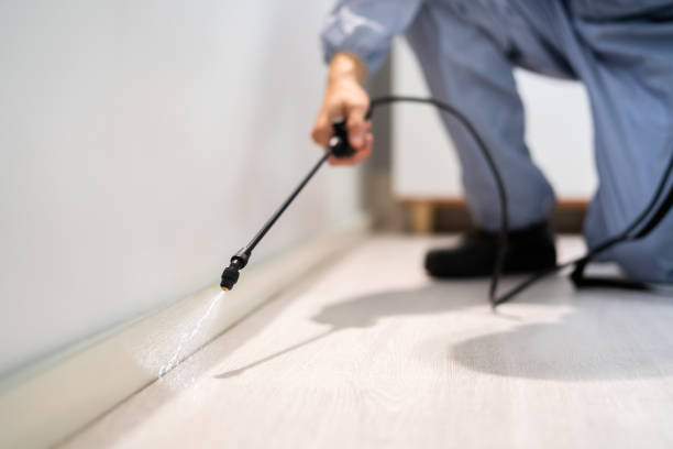 Licensed Emergency Pest Control service in Manassas Park city County, VA - Nex Pest Control