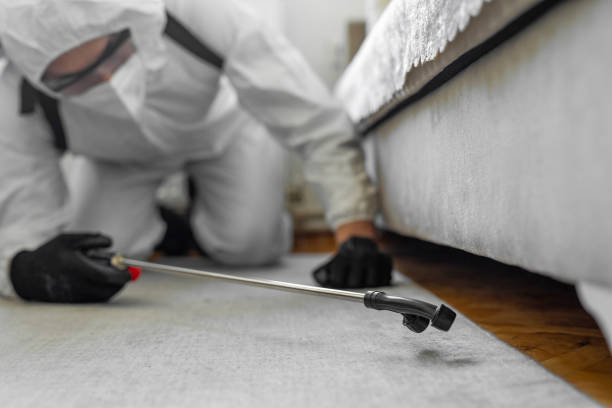 Professional Emergency Pest Control technician working in Manassas Park city County, VA